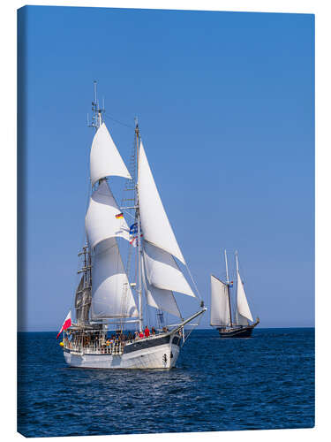 Canvas print Sailing ships during the Hanse Sail