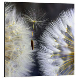 Magnettafel Filigranes Schirmchen