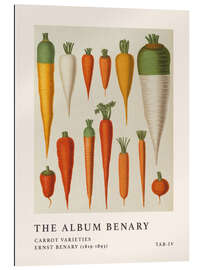 Gallery print The Album Benary - Carrot Varieties