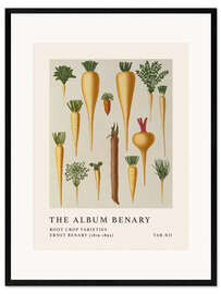 Plakat artystyczny premium w ramie The Album Benary - Root Crop Varieties