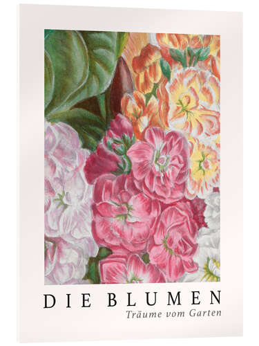 Cuadro de metacrilato Album Vilmorin, The Flowers VI (German)