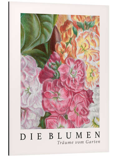 Aluminium print Album Vilmorin, The Flowers VI (German)