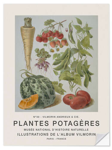 Selvklebende plakat Album Vilmorin, Plantes Potagères n° 30