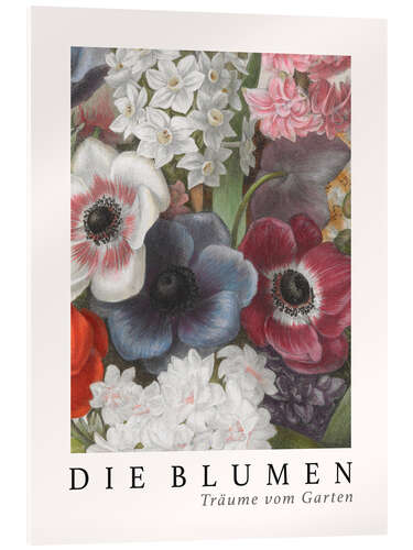 Acrylglasbild Album Vilmorin, Die Blumen XV