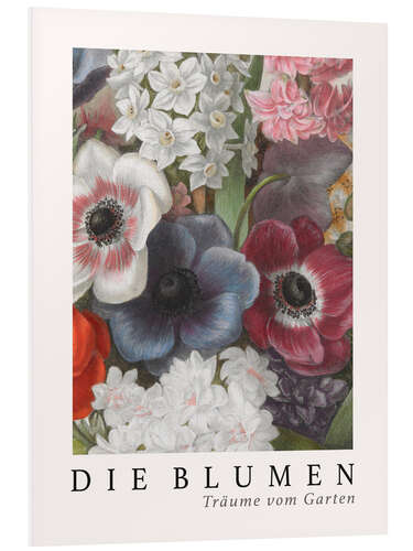 Quadro em PVC Album Vilmorin, The Flowers XV (German)