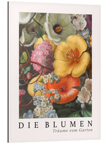 Obraz na aluminium Album Vilmorin, The Flowers VIII (German)