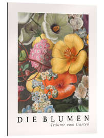 Gallery print Album Vilmorin, The Flowers VIII (German)