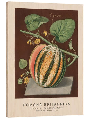Wood print Pomona Britannica - Scarlet Flesh Romana Melon