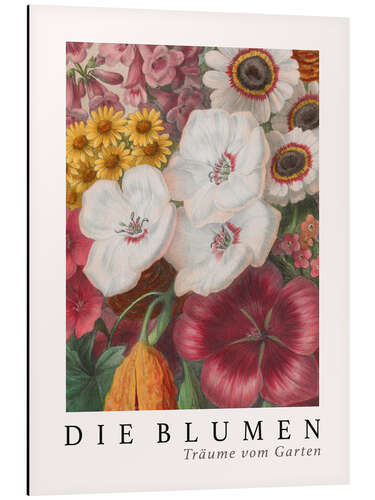 Cuadro de aluminio Album Vilmorin, The Flowers IX (German)