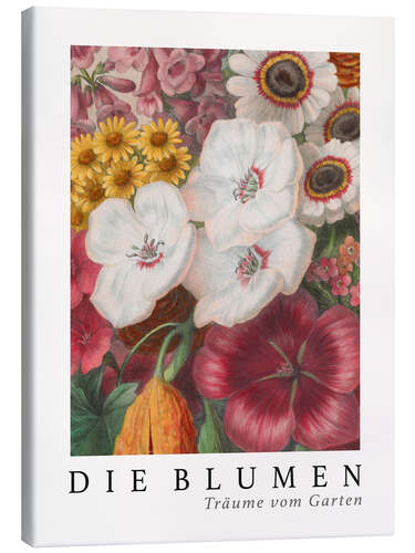 Tableau sur toile Album Vilmorin, The Flowers IX (German)