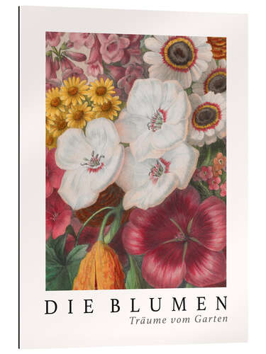 Galleriprint Album Vilmorin, The Flowers IX (German)