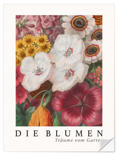 Wandsticker Album Vilmorin, Die Blumen IX