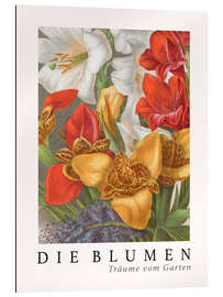 Gallery print Album Vilmorin, The Flowers XII (German)