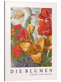 Magnettafel Album Vilmorin, Die Blumen XII
