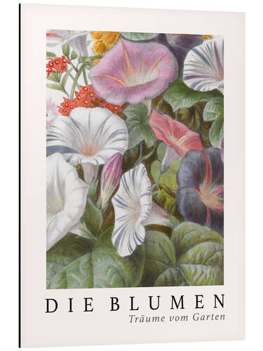 Cuadro de aluminio Album Vilmorin, The Flowers IV (German)