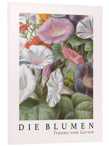 Foam board print Album Vilmorin, The Flowers IV (German)