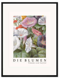 Gerahmter Kunstdruck Album Vilmorin, Die Blumen IV