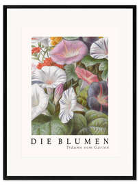 Plakat artystyczny premium w ramie Album Vilmorin, The Flowers IV (German)