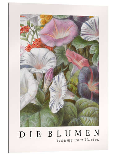 Gallery Print Album Vilmorin, Die Blumen IV