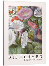 Magnettafel Album Vilmorin, Die Blumen IV