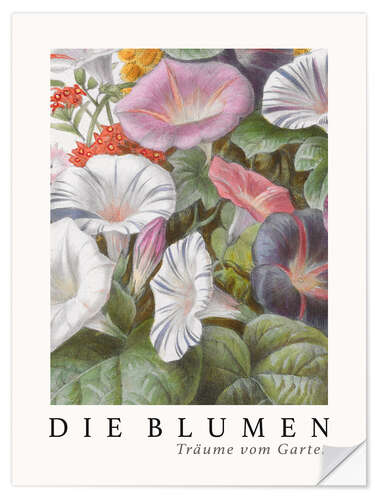 Sticker mural Album Vilmorin, The Flowers IV (German)