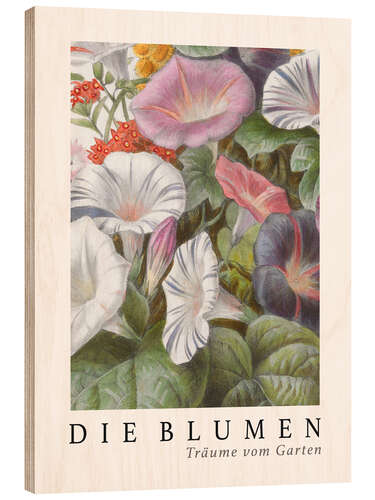 Wood print Album Vilmorin, The Flowers IV (German)