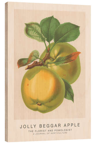 Stampa su legno The Florist and Pomologist - Jolly Beggar Apple