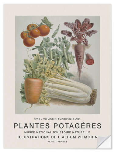 Selvklebende plakat Album Vilmorin, Plantes Potagères n° 36