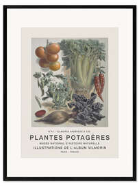 Impression artistique encadrée Album Vilmorin, Plantes Potagères n° 41
