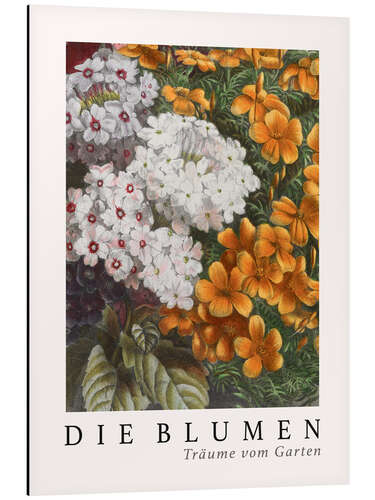 Cuadro de aluminio Album Vilmorin, The Flowers III (German)