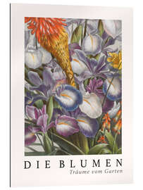 Gallery print Album Vilmorin, The Flowers XIII (German)