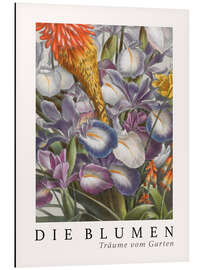 Magnettafel Album Vilmorin, Die Blumen XIII