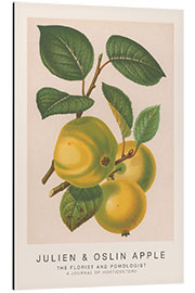 Aluminium print The Florist and Pomologist - Julien &amp; Oslin Apple