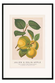 Gerahmter Kunstdruck The Florist and Pomologist - Julien &amp; Oslin Apple