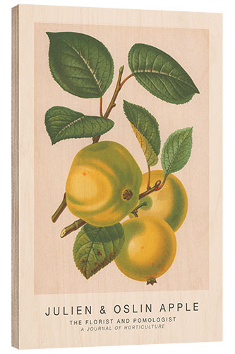 Stampa su legno The Florist and Pomologist - Julien & Oslin Apple