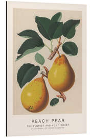 Magnettafel The Florist and Pomologist - Peach Pear