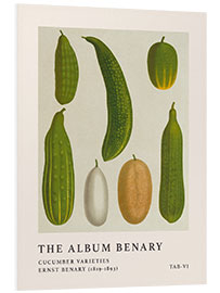 Tableau en PVC The Album Benary - Cucumber Varieties