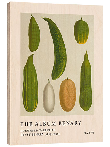 Puutaulu The Album Benary - Cucumber Varieties