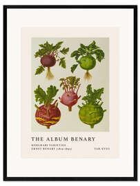 Kunsttryk i ramme The Album Benary - Kohlrabi Varieites