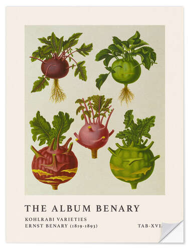 Sticker mural The Album Benary - Kohlrabi Varieites