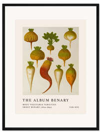 Gerahmter Kunstdruck The Album Benary - Root Vegetable Varieties