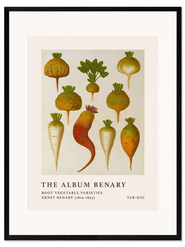 Stampa artistica con cornice The Album Benary - Root Vegetable Varieties