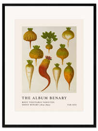 Stampa artistica con cornice The Album Benary - Root Vegetable Varieties