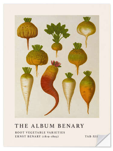 Adesivo murale The Album Benary - Root Vegetable Varieties