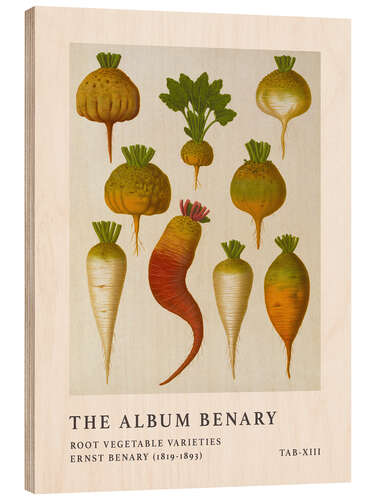 Tableau en bois The Album Benary - Root Vegetable Varieties