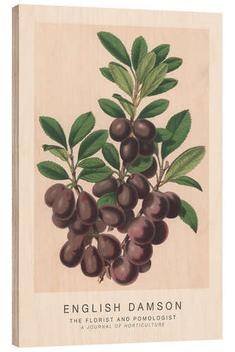 Cuadro de madera The Florist and Pomologist - English Damson