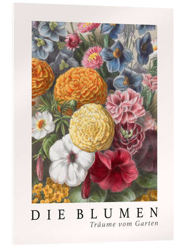 Cuadro de metacrilato Album Vilmorin, The Flowers V (German)