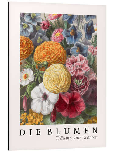 Aluminium print Album Vilmorin, The Flowers V (German)