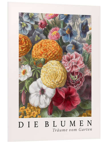 Quadro em PVC Album Vilmorin, The Flowers V (German)