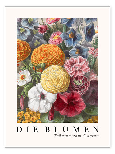 Poster Album Vilmorin, The Flowers V (German)